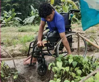 Nandan H.B.'s journey from rehabilitation to building a successful nursery.